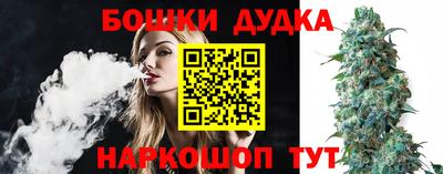 гидропоника Кингисепп
