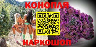 PSILOCYBIN Кинель