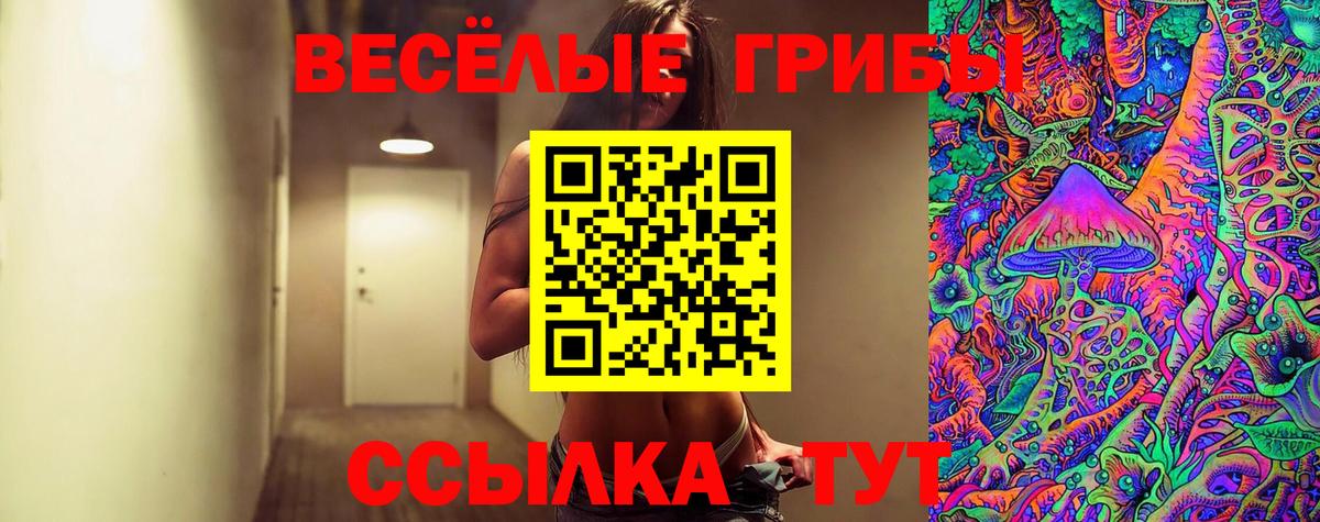 Галлюциногенные грибы Psilocybine cubensis Железногорск