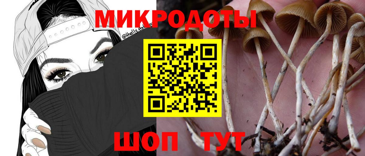 Железногорск  Галлюциногенные грибы Psilocybine cubensis  Вход с VPN  Псилоцибиновые грибы MAGIC MUSHROOMS 